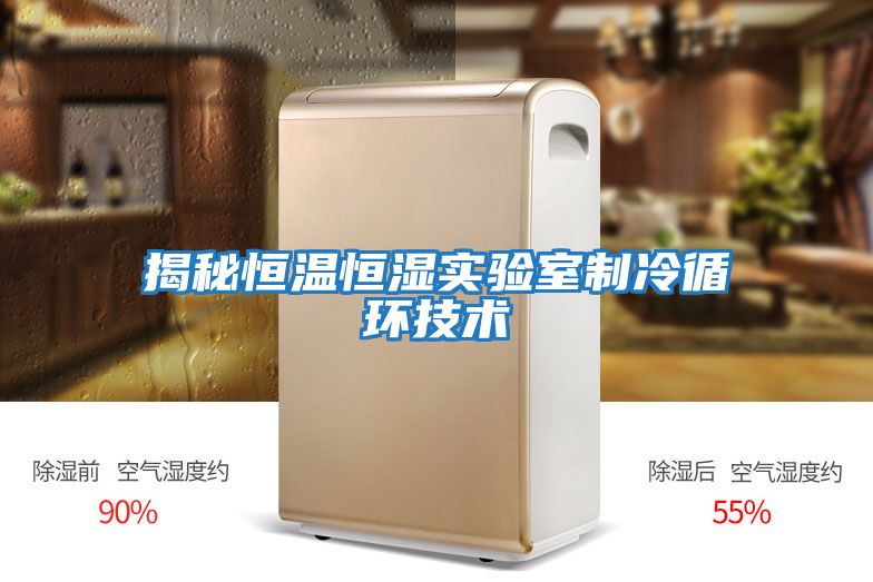 揭秘恒溫恒濕實驗室制冷循環(huán)技術(shù)