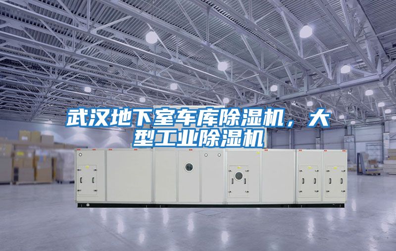 武漢地下室車庫除濕機，大型工業除濕機