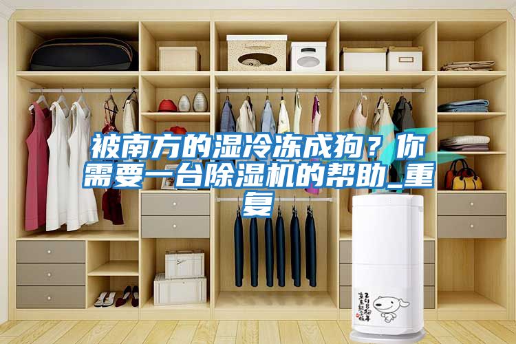 被南方的濕冷凍成狗？你需要一臺除濕機(jī)的幫助_重復(fù)