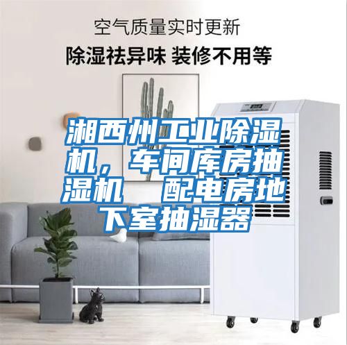 湘西州工業除濕機，車間庫房抽濕機  配電房地下室抽濕器