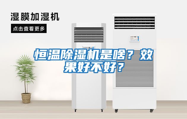 恒溫除濕機是啥？效果好不好？