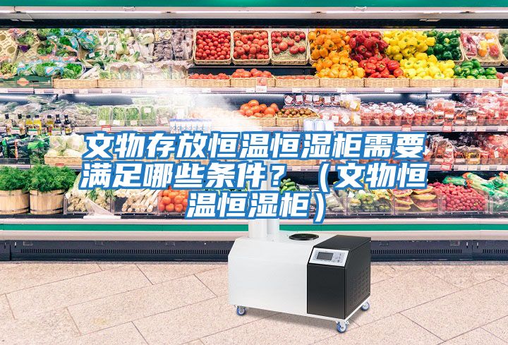 文物存放恒溫恒濕柜需要滿(mǎn)足哪些條件？（文物恒溫恒濕柜）