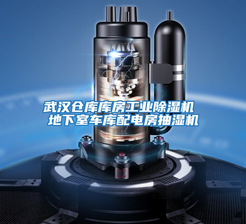武漢倉(cāng)庫(kù)庫(kù)房工業(yè)除濕機(jī) 地下室車庫(kù)配電房抽濕機(jī)