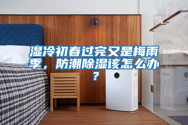 濕冷初春過完又是梅雨季，防潮除濕該怎么辦？