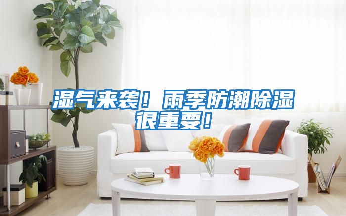 濕氣來襲！雨季防潮除濕很重要！