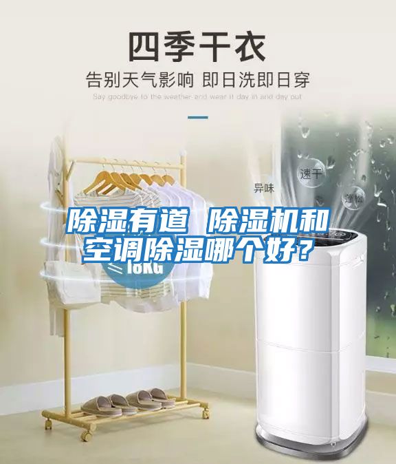 除濕有道 除濕機和空調除濕哪個好？