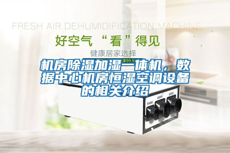 機房除濕加濕一體機，數據中心機房恒濕空調設備的相關介紹