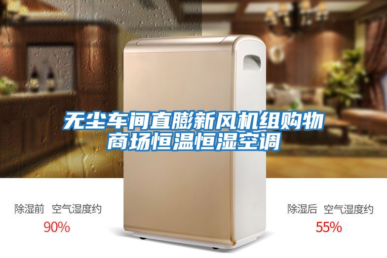 無塵車間直膨新風機組購物商場恒溫恒濕空調(diào)