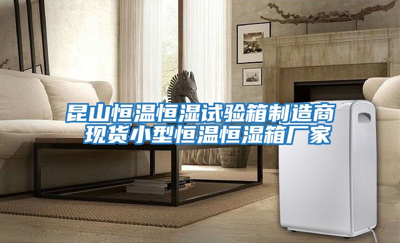 昆山恒溫恒濕試驗(yàn)箱制造商 現(xiàn)貨小型恒溫恒濕箱廠家