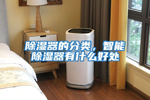 除濕器的分類(lèi)，智能除濕器有什么好處