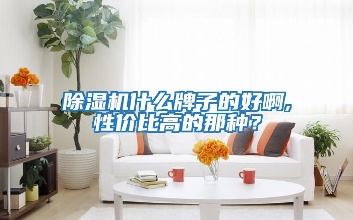 除濕機(jī)什么牌子的好啊,性價(jià)比高的那種？
