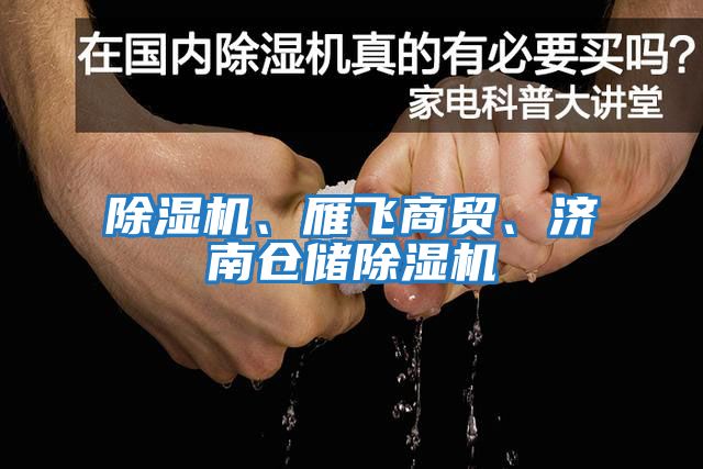 除濕機(jī)、雁飛商貿(mào)、濟(jì)南倉(cāng)儲(chǔ)除濕機(jī)