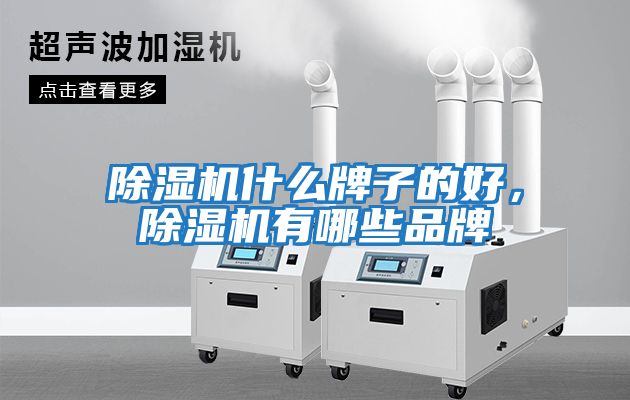 除濕機什么牌子的好，除濕機有哪些品牌