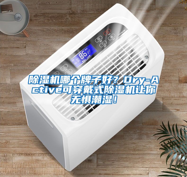 除濕機哪個牌子好？Dry-Active可穿戴式除濕機讓你無懼潮濕！