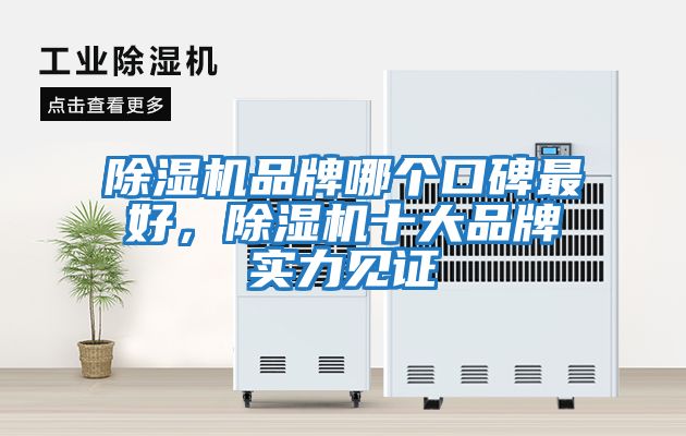 除濕機(jī)品牌哪個(gè)口碑最好，除濕機(jī)十大品牌實(shí)力見證