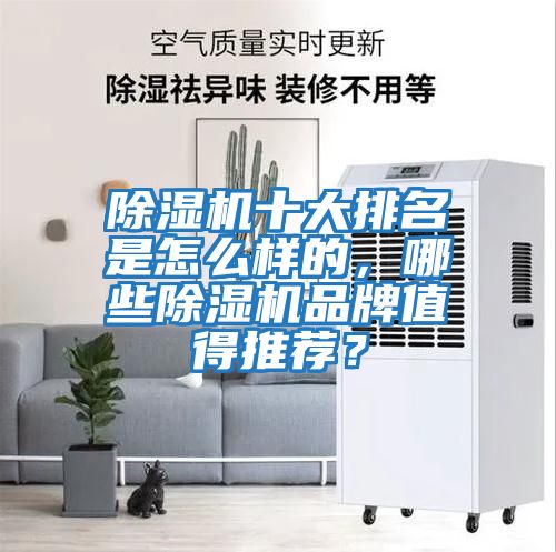 除濕機十大排名是怎么樣的，哪些除濕機品牌值得推薦？