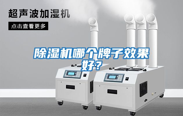 除濕機(jī)哪個(gè)牌子效果好？