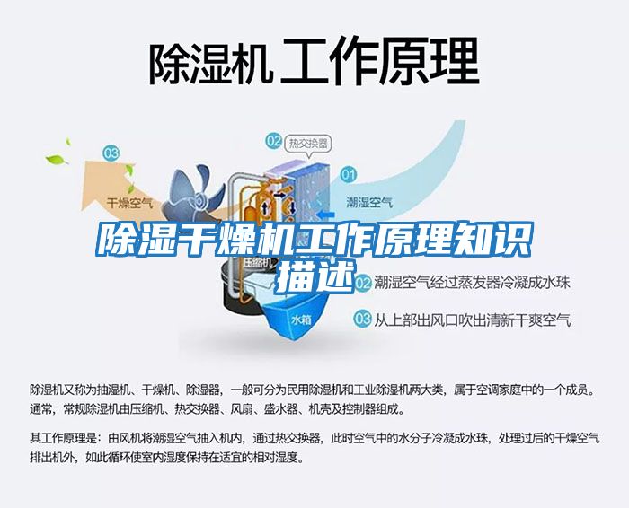 除濕干燥機(jī)工作原理知識描述