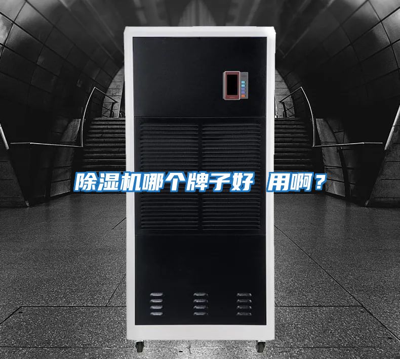 除濕機(jī)哪個牌子好 用啊？
