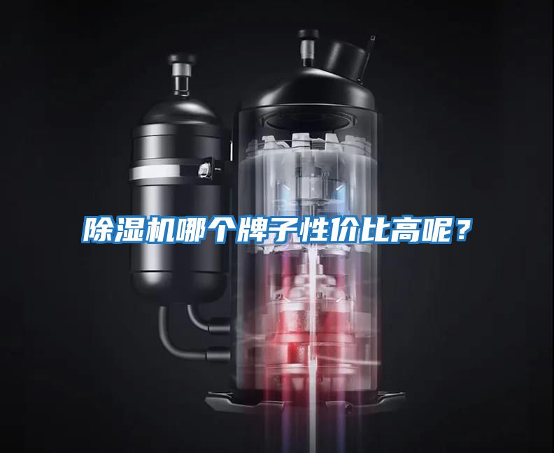除濕機(jī)哪個(gè)牌子性價(jià)比高呢？
