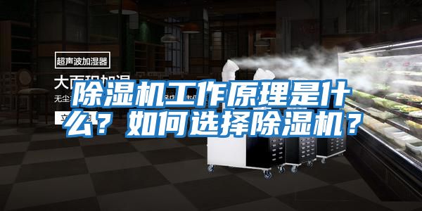 除濕機工作原理是什么？如何選擇除濕機？