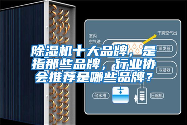 除濕機十大品牌，是指那些品牌，行業協會推薦是哪些品牌？