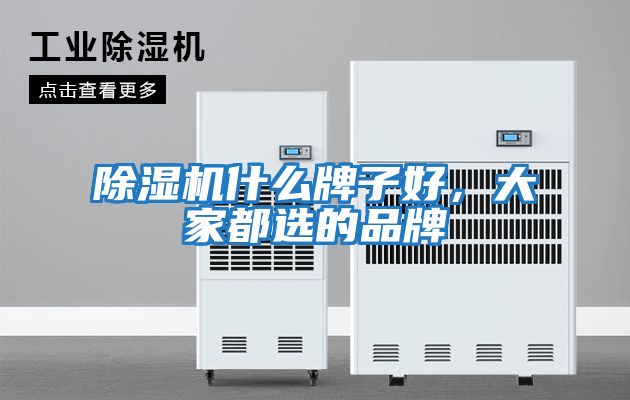 除濕機(jī)什么牌子好，大家都選的品牌