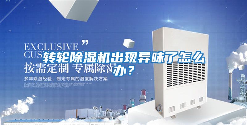 轉(zhuǎn)輪除濕機(jī)出現(xiàn)異味了怎么辦？