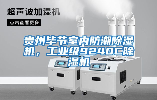 貴州畢節室內防潮除濕機，工業級9240C除濕機