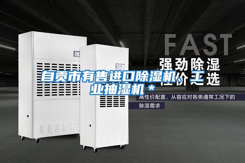 自貢市有售進口除濕機、工業抽濕機＊
