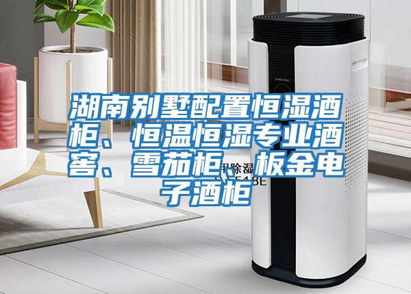 湖南別墅配置恒濕酒柜、恒溫恒濕專業酒窖、雪茄柜、板金電子酒柜