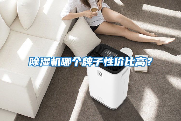 除濕機哪個牌子性價比高？