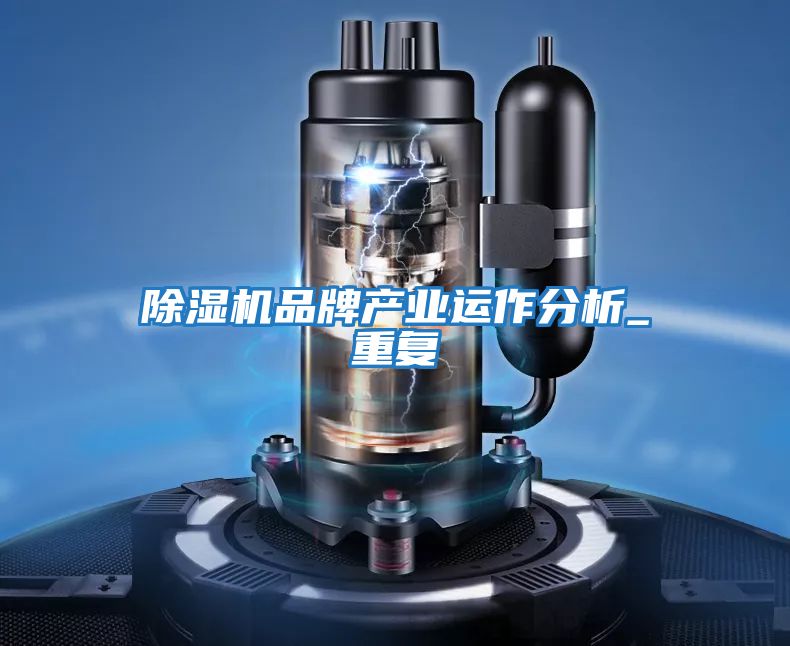 除濕機品牌產(chǎn)業(yè)運作分析_重復(fù)