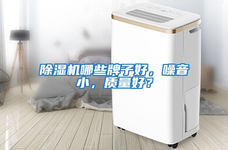 除濕機哪些牌子好，噪音小，質量好？