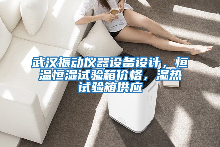 武漢振動儀器設備設計，恒溫恒濕試驗箱價格，濕熱試驗箱供應
