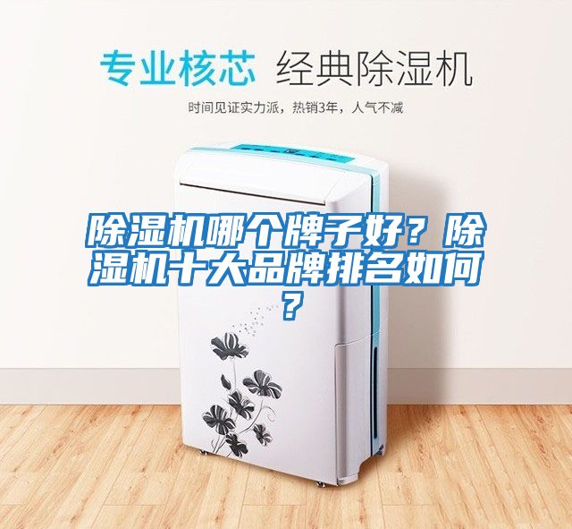 除濕機(jī)哪個牌子好？除濕機(jī)十大品牌排名如何？