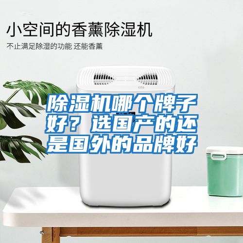 除濕機哪個牌子好？選國產的還是國外的品牌好