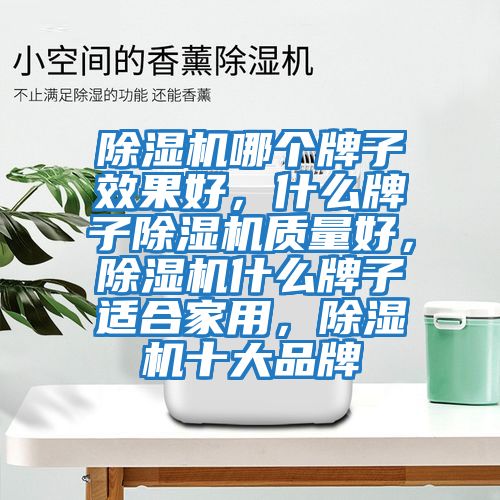 除濕機哪個牌子效果好，什么牌子除濕機質量好，除濕機什么牌子適合家用，除濕機十大品牌