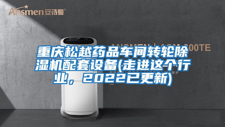 重慶松越藥品車間轉(zhuǎn)輪除濕機(jī)配套設(shè)備(走進(jìn)這個行業(yè)，2022已更新)