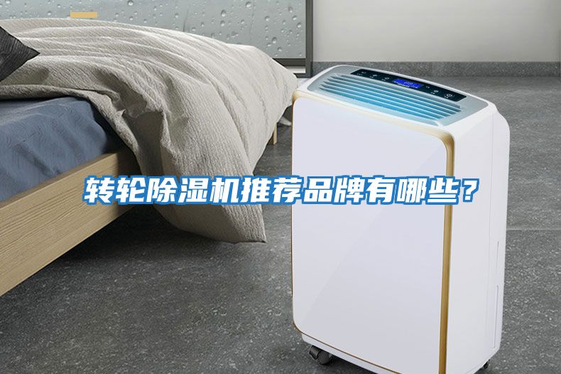 轉輪除濕機推薦品牌有哪些？