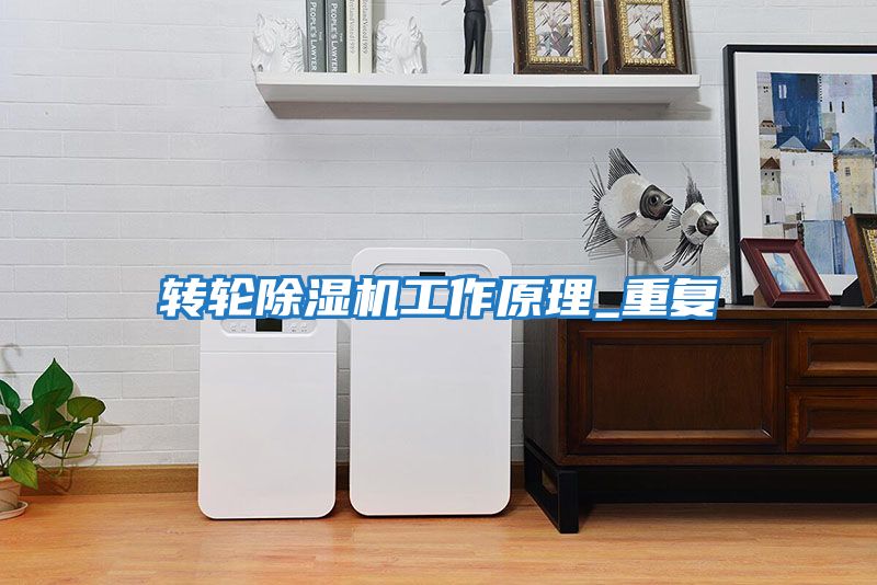 轉(zhuǎn)輪除濕機工作原理_重復(fù)