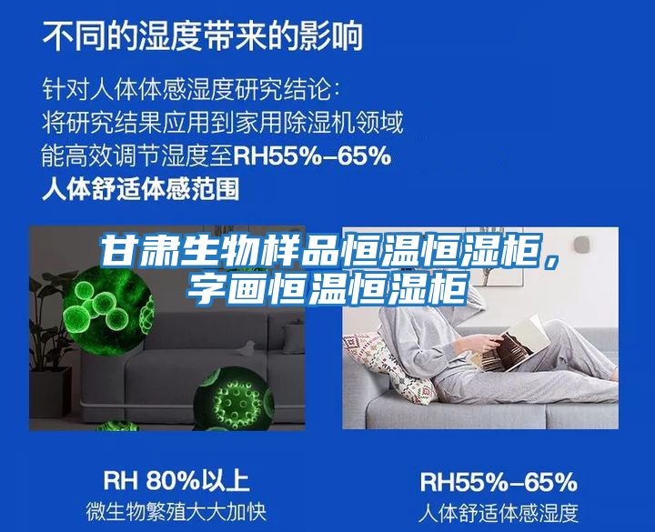 甘肅生物樣品恒溫恒濕柜，字畫恒溫恒濕柜