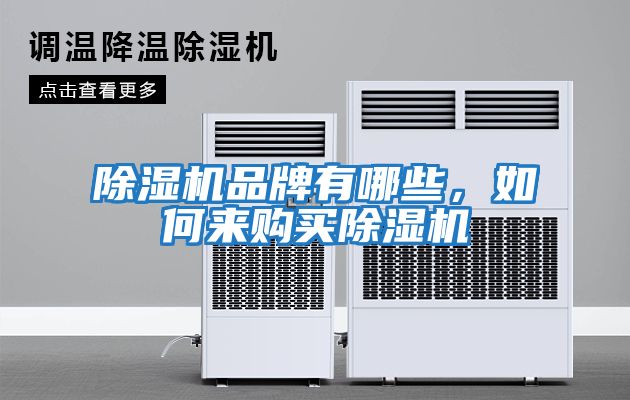 除濕機(jī)品牌有哪些，如何來(lái)購(gòu)買除濕機(jī)