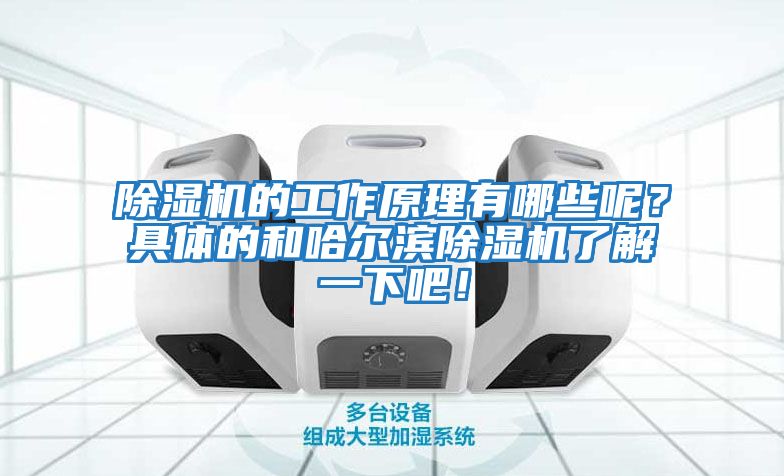 除濕機的工作原理有哪些呢？具體的和哈爾濱除濕機了解一下吧！