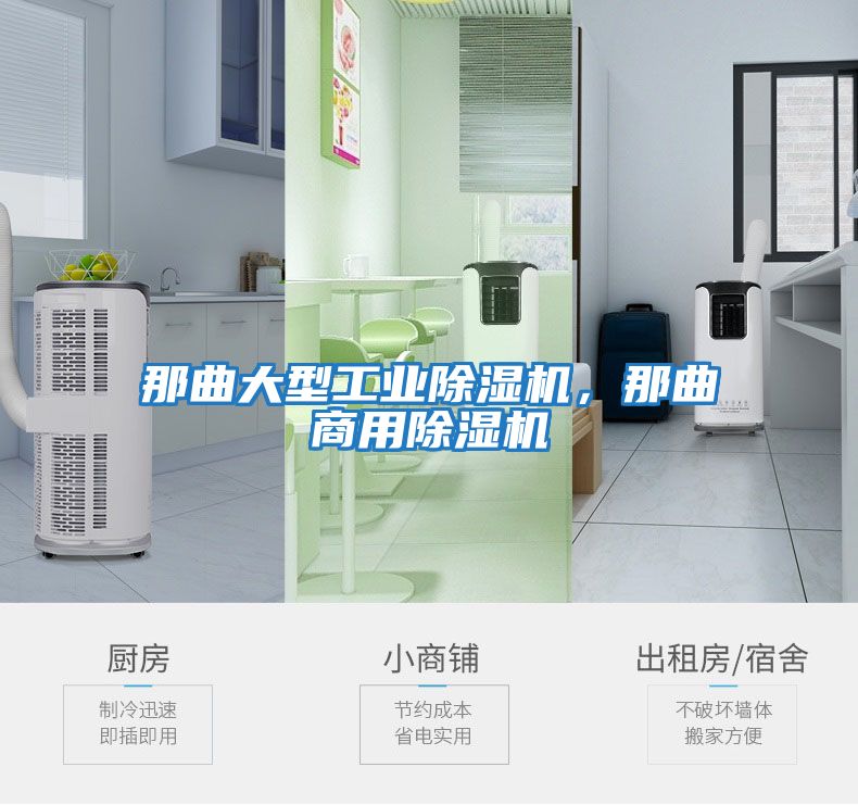 那曲大型工業(yè)除濕機，那曲商用除濕機