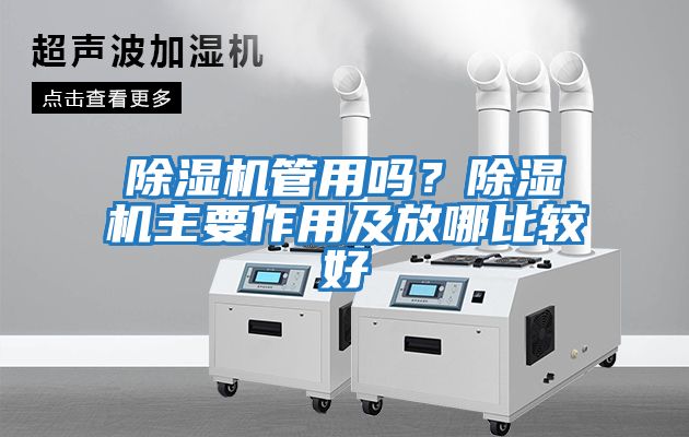 除濕機管用嗎？除濕機主要作用及放哪比較好
