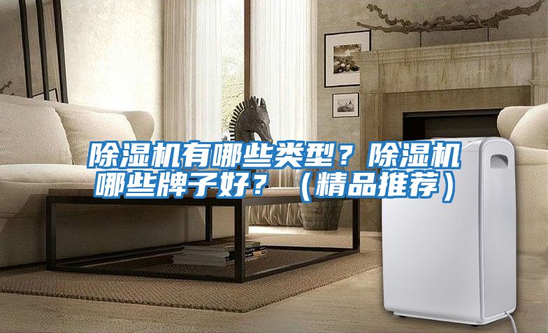 除濕機有哪些類型？除濕機哪些牌子好？（精品推薦）