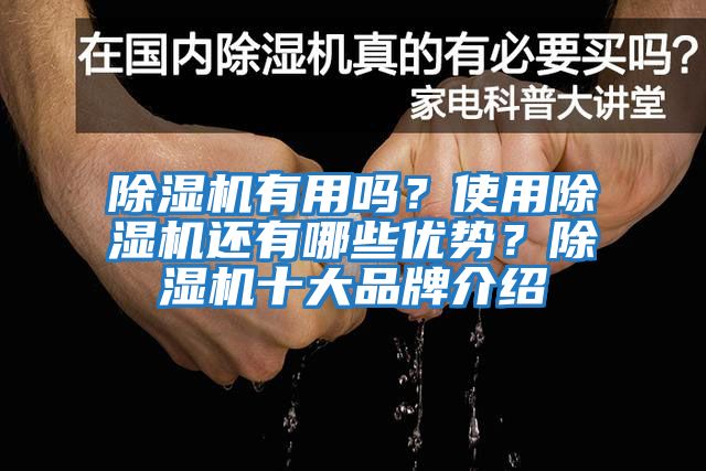 除濕機有用嗎？使用除濕機還有哪些優(yōu)勢？除濕機十大品牌介紹