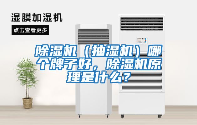 除濕機(jī)（抽濕機(jī)）哪個(gè)牌子好，除濕機(jī)原理是什么？