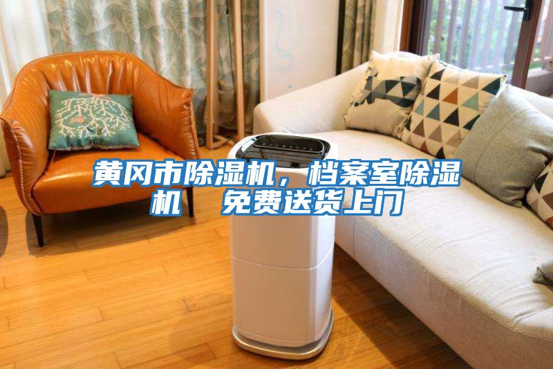 黃岡市除濕機，檔案室除濕機  免費送貨上門